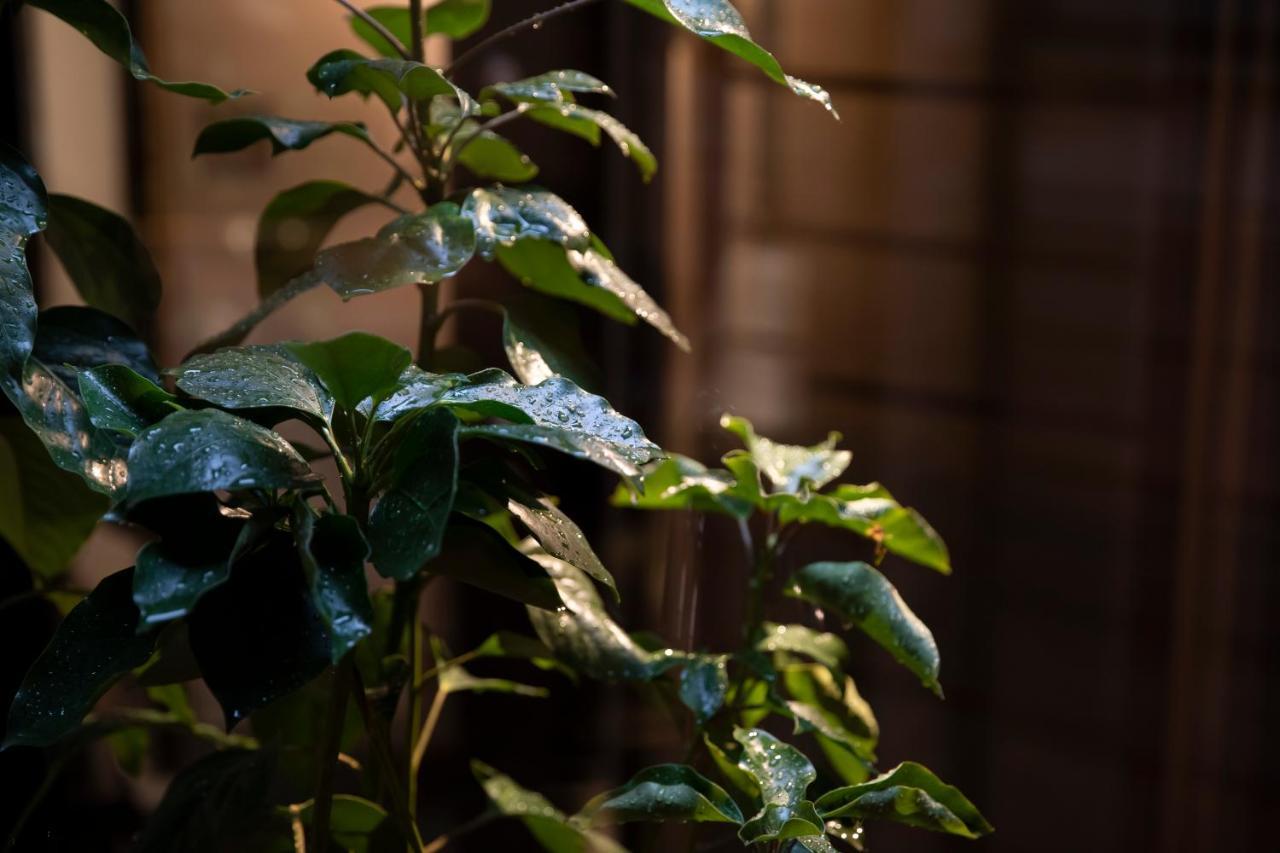 Kanazawa Machiya Kenroku 외부 사진